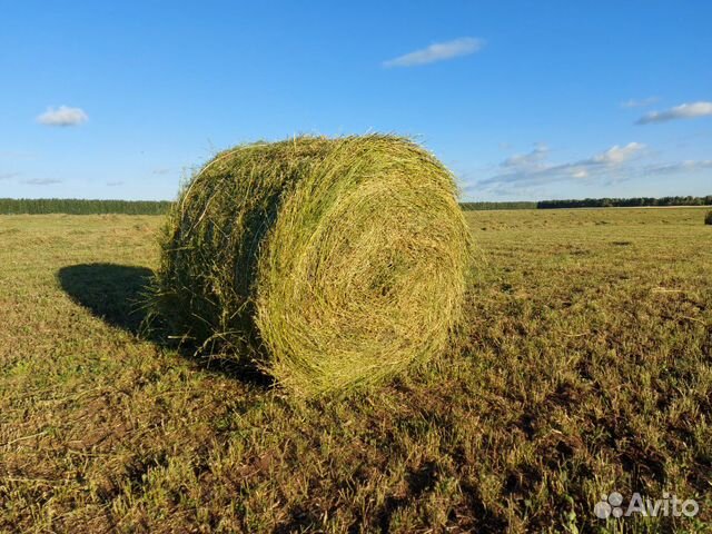 Сено