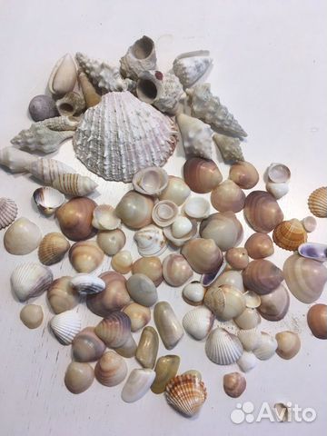 Аквариумные аксессуары