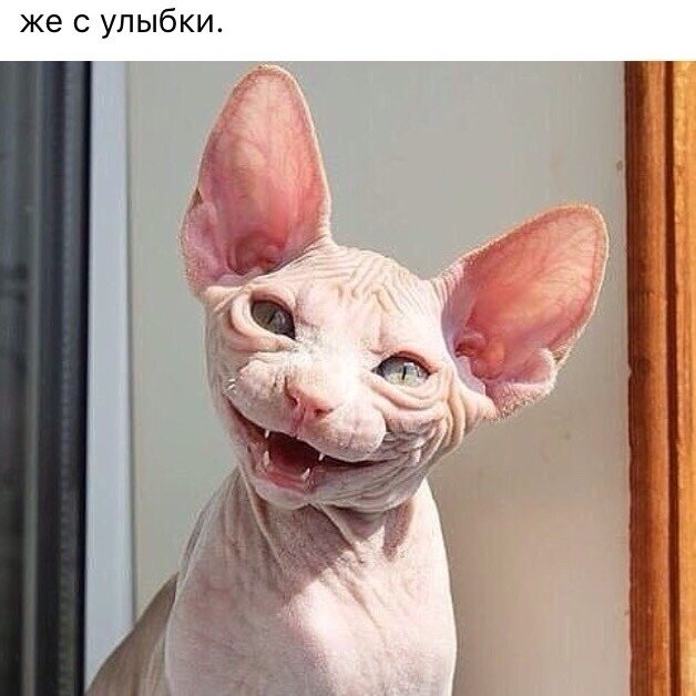 �������� ������