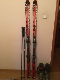 Горные лыжи