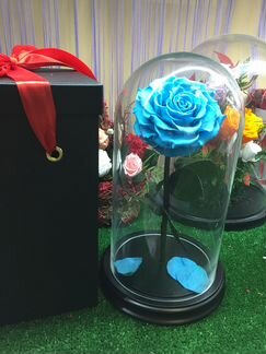 Небесно-голубая роза в колбе