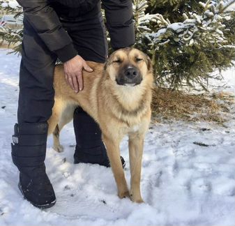 Ищу самого лучшего хозчина