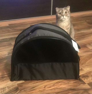 Переноска PerseiLine. Большая. Новая