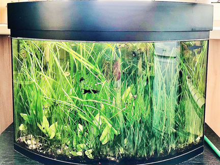 Готовый аквариум в сборе
