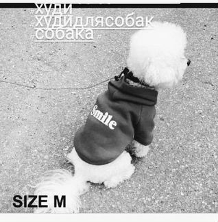 Одежда для собак