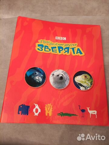 Твои веселые друзья зверята