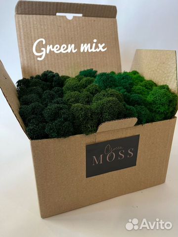 Стабилизированный мох ягель