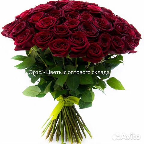 51 роза 70см