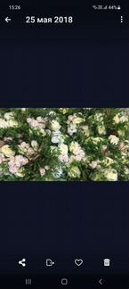 Букеты на праздник