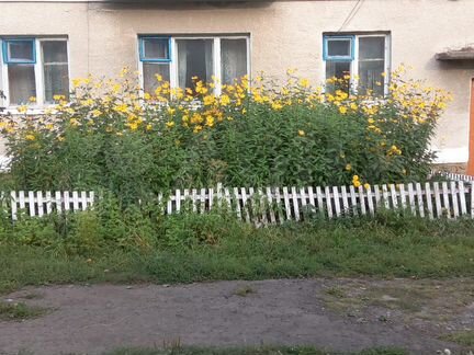 2-к. квартира, 43,1 м², 1/2 эт.