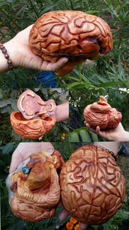 Деревянная шкатулка из сувеля черной ольхи