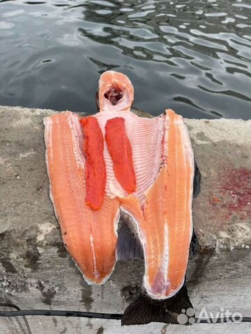 Форель непотрощенная из Киргизии