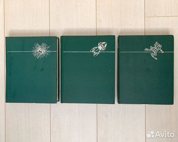 Жизнь животных