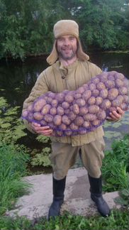 Картофель с доставкой