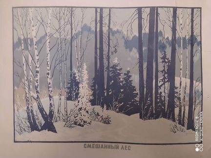 Линогравюры коллекция СССР. редкость