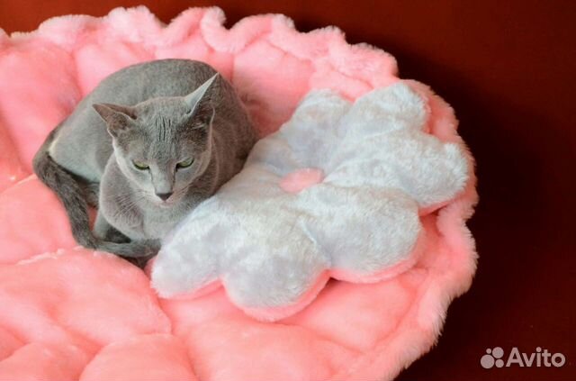 Лежак для животных