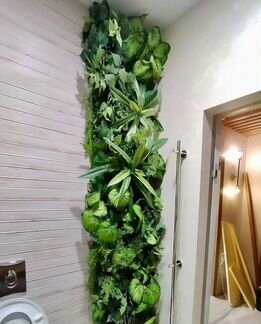 Фитокартина фитостена панно из мха полоса