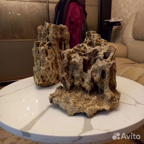 Ракушечник песчаник