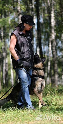 Дрессировка и передержка собак. Сад для щенков