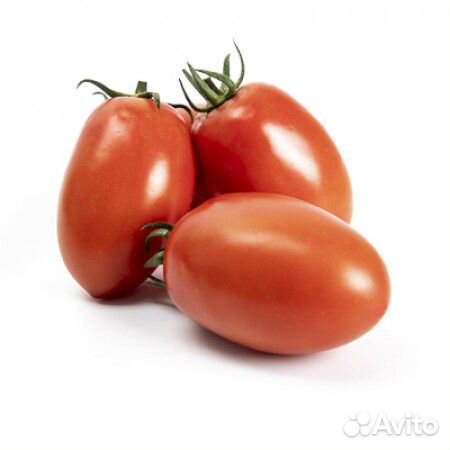Семена Томата 