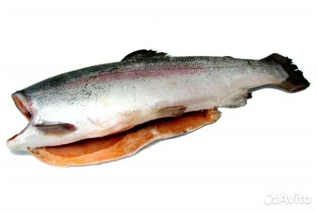 Форель морская