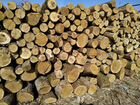 Продам дрова твёрдых пород