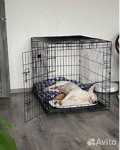 Клетка для собак и кошек вольеры для собак