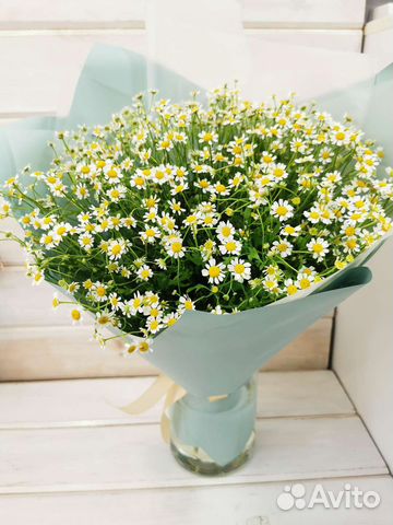 Ромашки Купить цветы в Кирове Доставка цветов