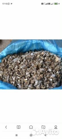 Куриный помет