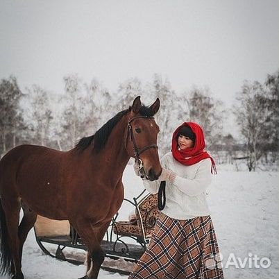 Прокат лошадей