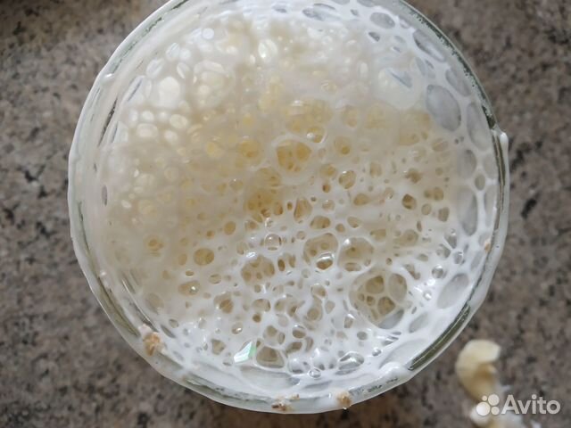 Закваска для хлеба,которую не нужно кормить