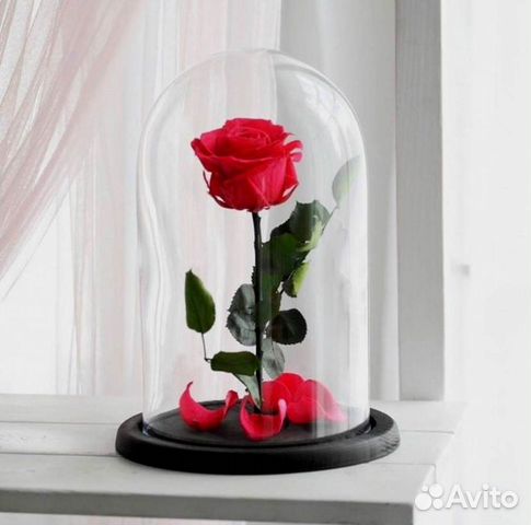 Розы в колбе разные