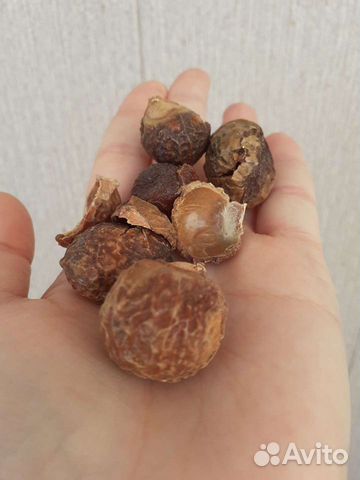 Мыльные орехи