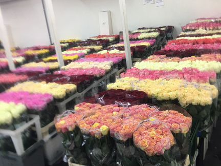 Цветы с доставкой розы,корзины,пионы И