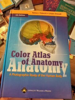 Color atlas of anatomy (атлас по анатомии)
