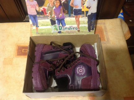 Ботинки сапожки зима dandino новые