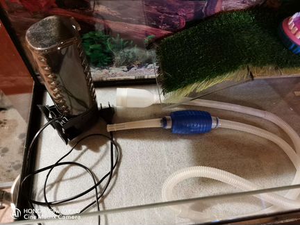 Терариум для черепахи