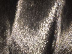 Греческая норка