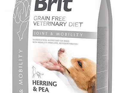 Brit grain free veterinary diet