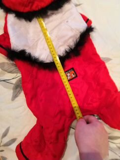 Одежда для собаки