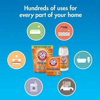 Очищенная пищевая сода Arm & Hammer, 454г