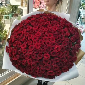 Розы Цветы 25 51 151 201 101 301 501 опт
