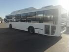 Нефаз, четыре автобуса 2018 год объявление продам