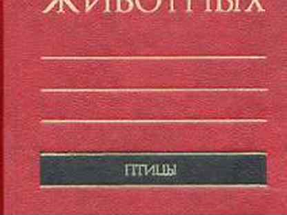 словарь русского языка. авторы словарей русского языка. название словаря авторы. название словаря авторы. словарь названий жителей рсфср.