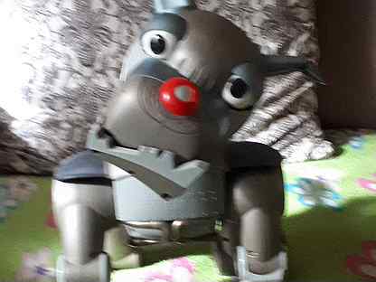 sobaka robot kupit nedorogo igrushki i tovary dlya detej v sankt peterburge s dostavkoj detskie veshi avito