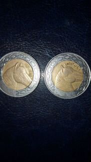 Монеты, 100 динар, Алжир