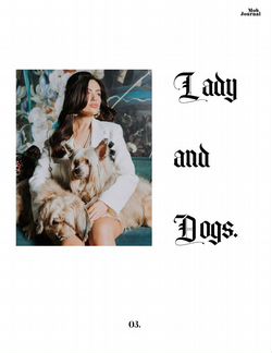 Собаки для фотосессии