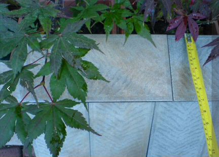 Керамогранит 30 х 16,5 х 9 Италия