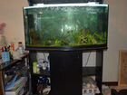 Продам аквариум aquael панорамный 200 литров объявление продам