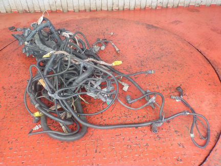 Электропроводка двигателя ман тгс 51254136090